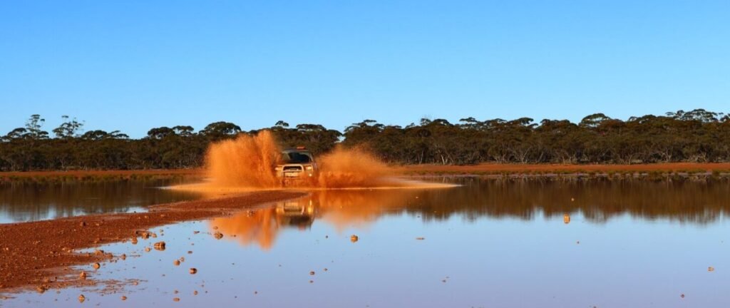 Subaru Forester causes a scene